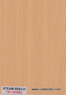 Steam Beech-T20